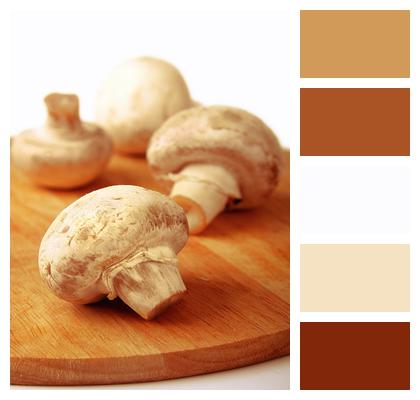 Kitchen Edible Mushrooms Image