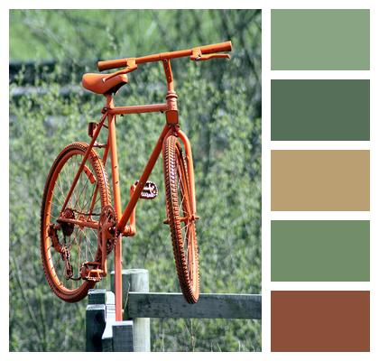 Orange Bike Bicycle Image