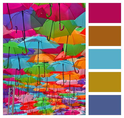 Umbrella Decoration Color Image