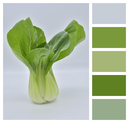 Food Healthy Vegetables Image