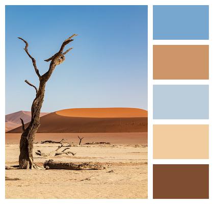 Namibia Desert Sand Image