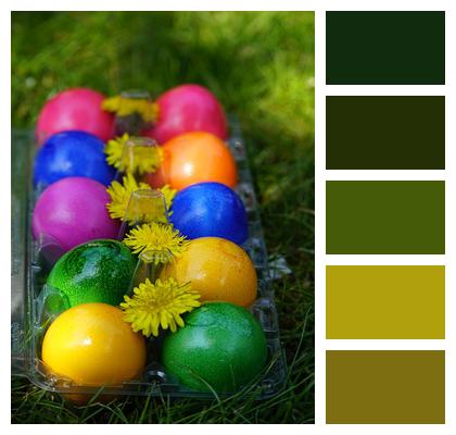 Easter Eggs Colorful Image