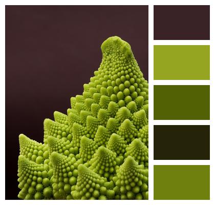 Romanesco Vegetable Macro Image