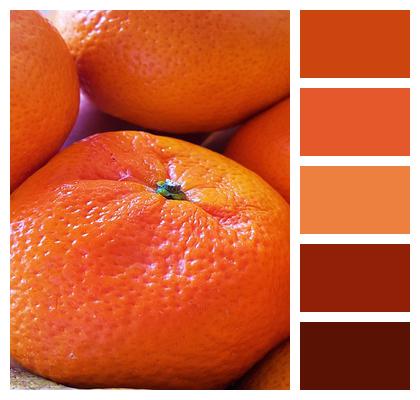 Mandarin Fruit Orange Image