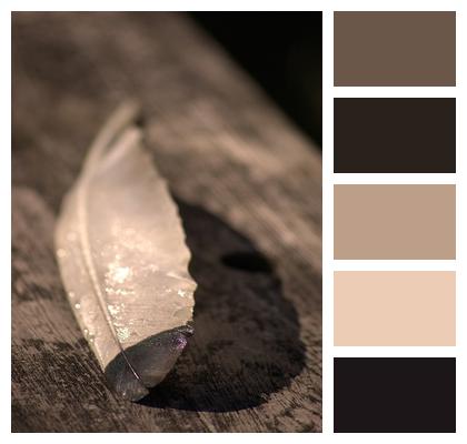 Shadow Morning Texture Neutral Feather Image