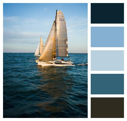 Boats Sea Sailing Image