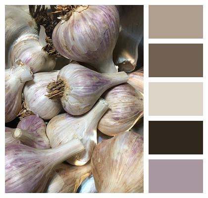 Garlic Fresh Food Image