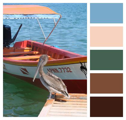 Fishing Boat Pelican Image