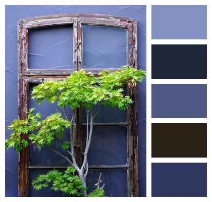 Old Frame Trees Leaves Window Decoration Wall Plants Image