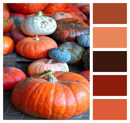 Harvest Vegetables Pumpkins Image