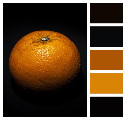 Food Orange Fruit Image