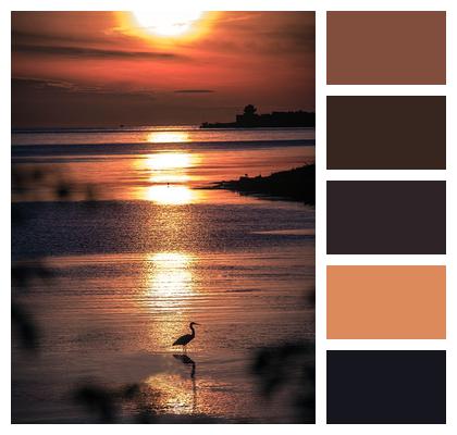 Sunset Crane Sea Image