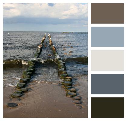 Nature Groynes Beach Image