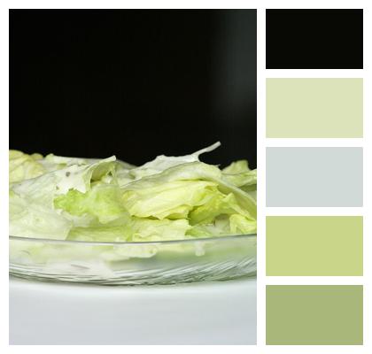Salad Leaves Lettuce Image