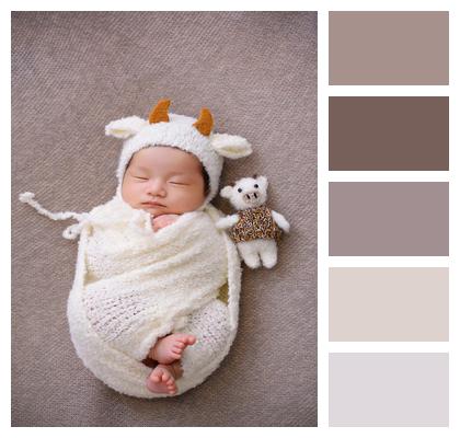 Newborn Baby Cute Newborn Photography Image