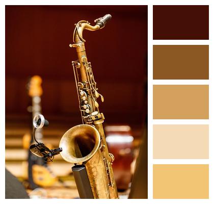 Concert Saxophone Music Instrument Image