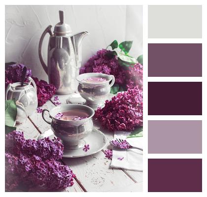 Tea Lilac Spring Image