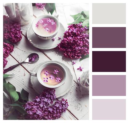 Spring Lilac Tea Image