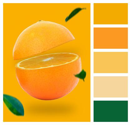 Citrus Orange Fruit Image