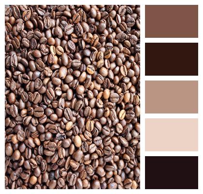 Coffee Grains Background Image