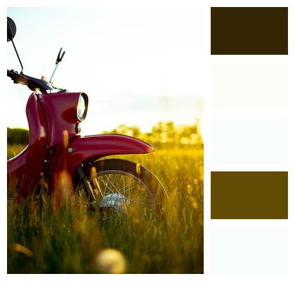 Sunset Scooter Grasses Image