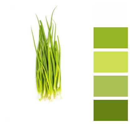 Vegetable Leaves Chives Image