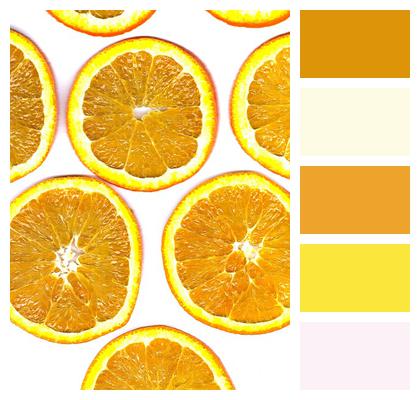 Fruit Orange Discs Image