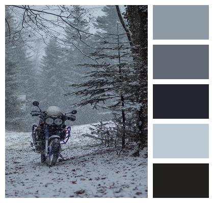 Forest Motorbike Winter Image