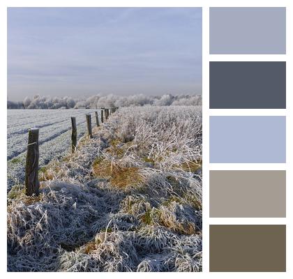 Winter Field Fence Image