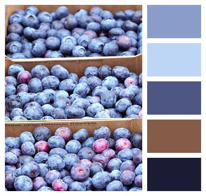 Food Fruits Blueberries Image