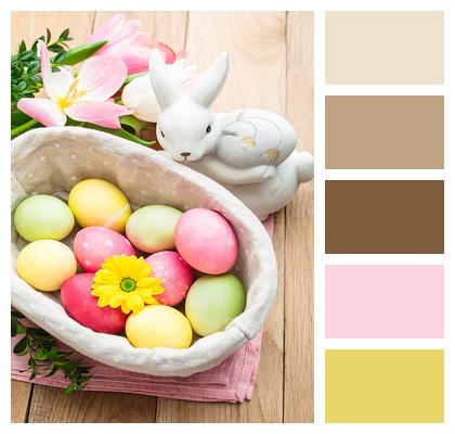Easter Rabbit Spring Image