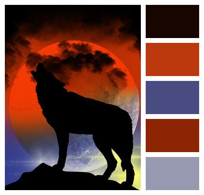 Night Paint Wolf Image