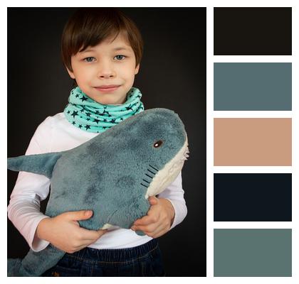 Plush Toy Shark 8 Years Baby Shark Image
