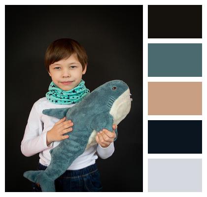 Childhood 8 Years Ikea Shark Image