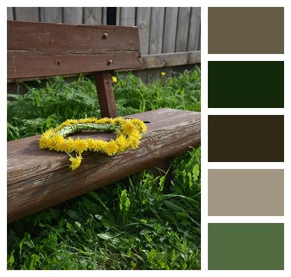 Nature Yellow Flowers Dandelion Bench Image