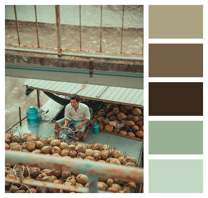 Harvest Tropical Coconut Man Image