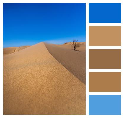 Dunes Wind Sand Image