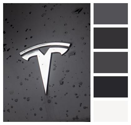 Logo Car Tesla Image