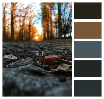 Stone Poland Forest Peace Of Mind Image