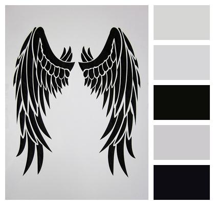 Wing Feathers Black Image