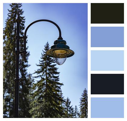 Lamp Post Lamp Post Nature Lamp Post Image