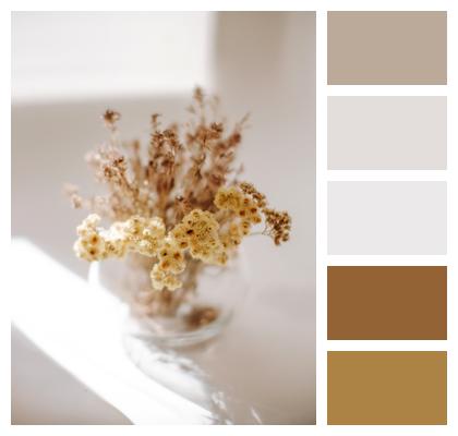 Flowers In A Glass Aesthetic Bouquet Flowers Image