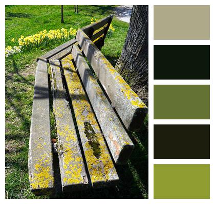 Nature Seat Bench Wood Image