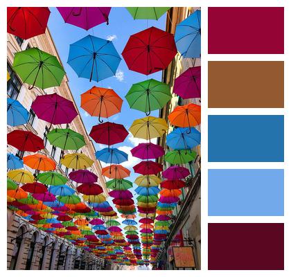 Design Shade Umbrellas Image