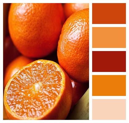 Oranges Nature Tangerines Image