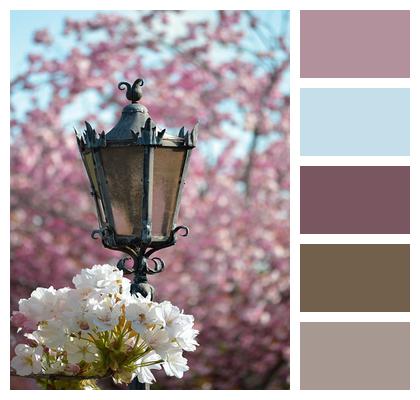 Blossoms Lighting Lamp Historical Lantern Image