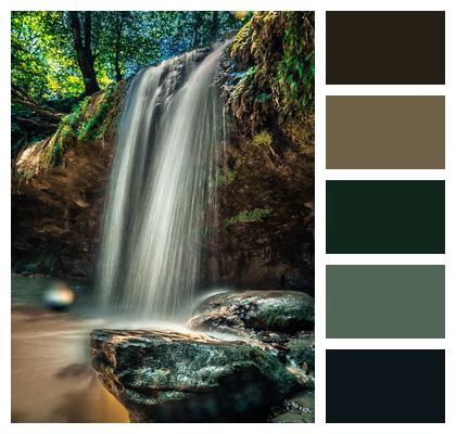 Forest Nature Water Stone Image