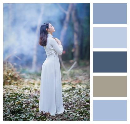Fashion Dress Elegance Woman Image