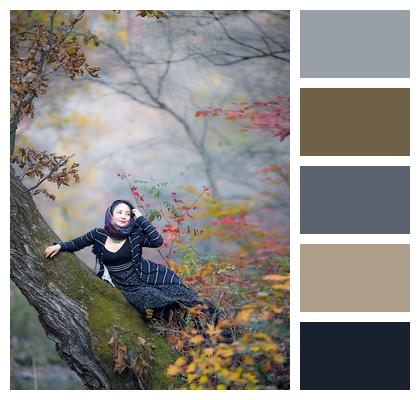 Autumn Late Autumn Tree Trunk Woman Image