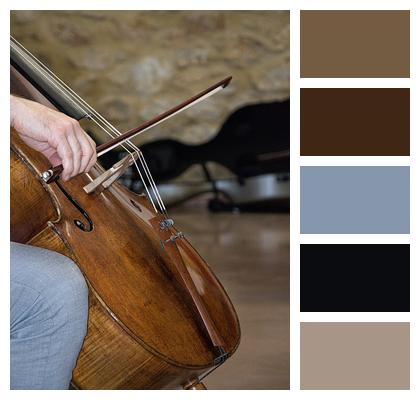 Musician Splints Cello Cello Image